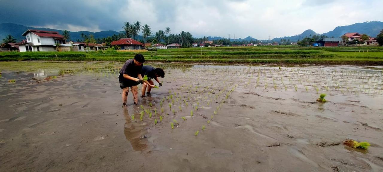 Rumah Gadang Tokama, Simarasok Baso Exteriör bild